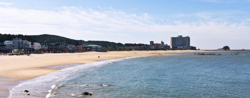 Beache Palace image