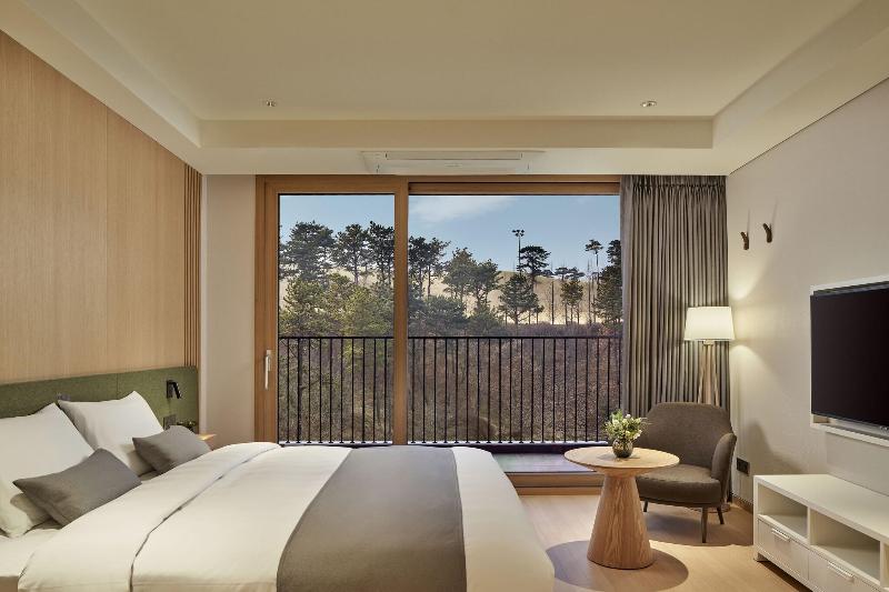 Lotte Buyeo Resort image