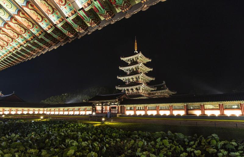 Lotte Buyeo Resort image
