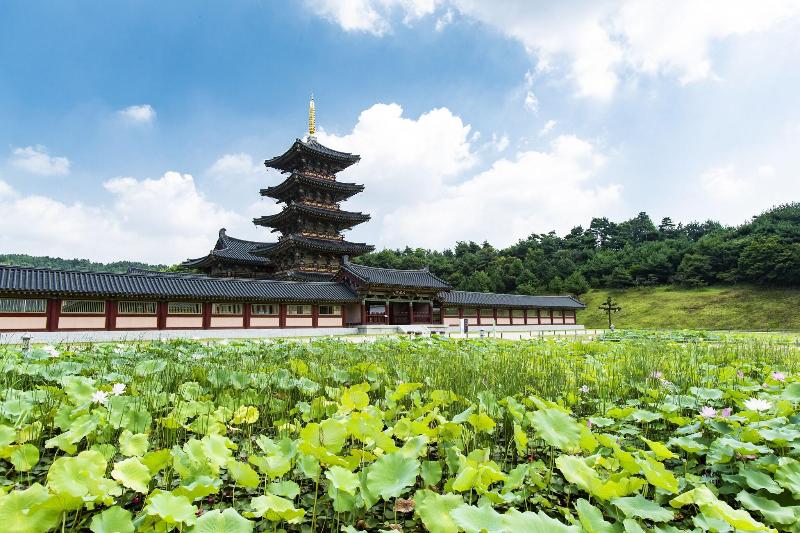 Lotte Buyeo Resort image