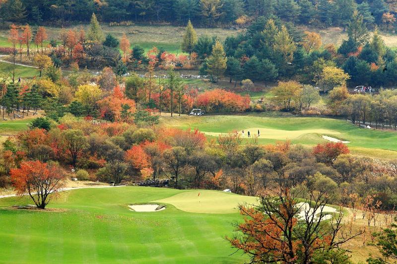 Welli Hilli Park(Ex. Hyundai Sungwoo Resort) image