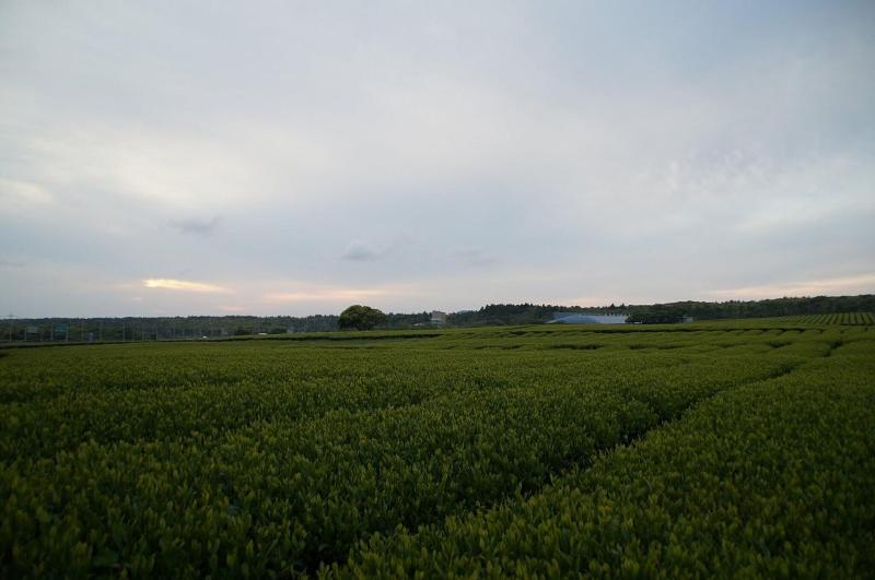 Jeju Aerospace Hotel image
