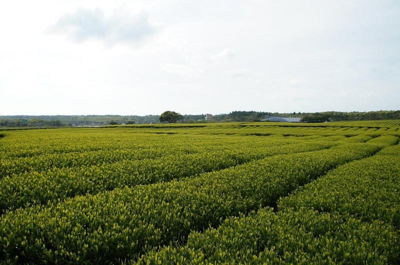 Jeju Aerospace Hotel image