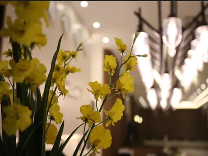 Hotel Bernoui Seoul image