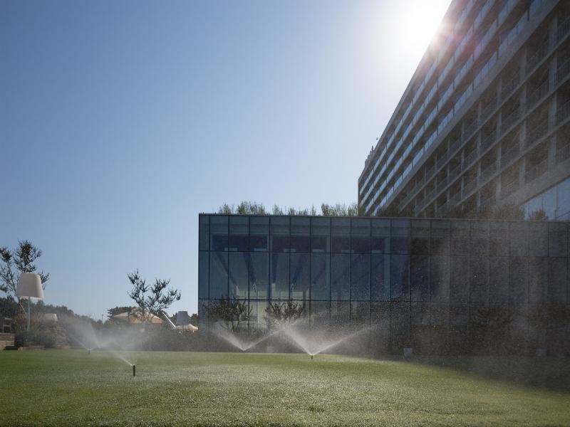 Nest Hotel image