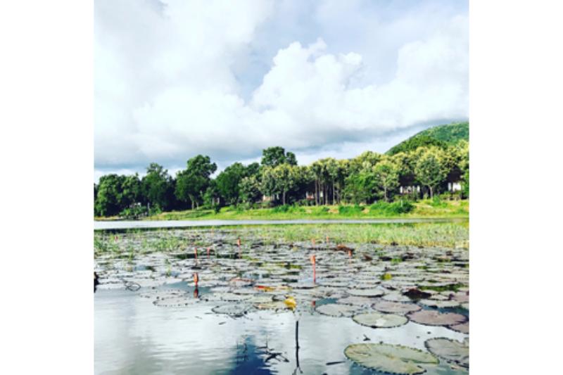 Villa Inle Boutique Resort — general view