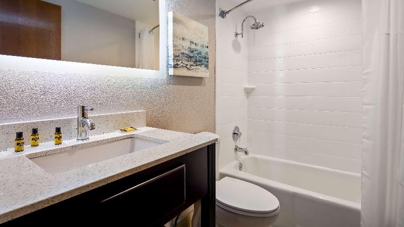 Best Western Plus Lake Jackson Inn & Suites image