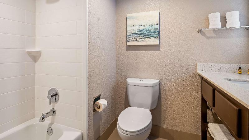 Best Western Plus Lake Jackson Inn & Suites image