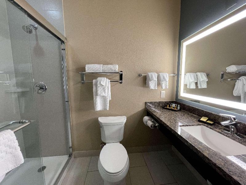 Best Western Plus Lake Jackson Inn & Suites image