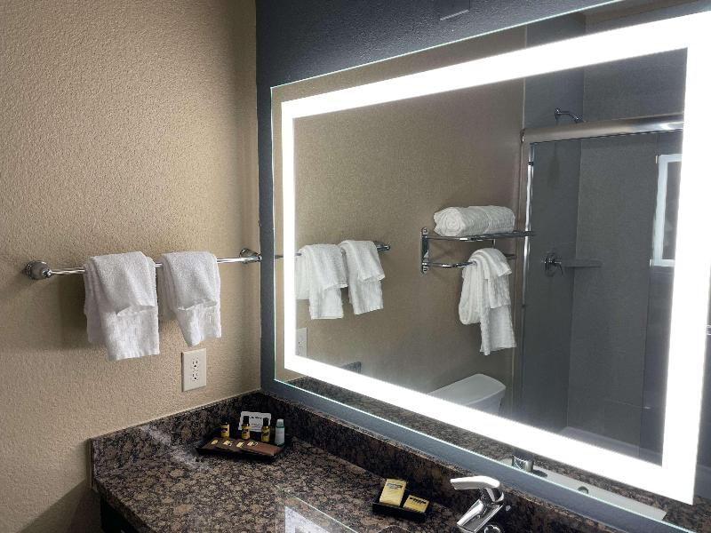 Best Western Plus Lake Jackson Inn & Suites image
