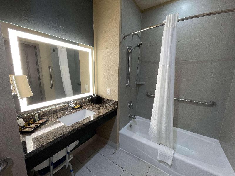 Best Western Plus Lake Jackson Inn & Suites image