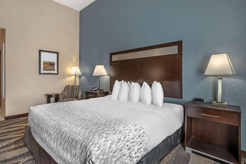 Best Western Plus Lake Jackson Inn & Suites image