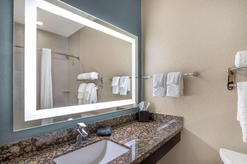 Best Western Plus Lake Jackson Inn & Suites image