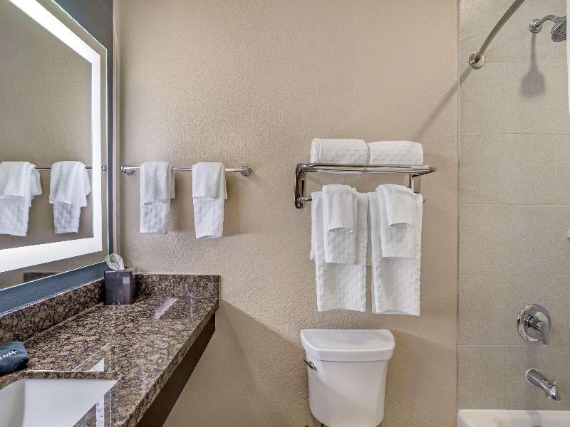 Best Western Plus Lake Jackson Inn & Suites image