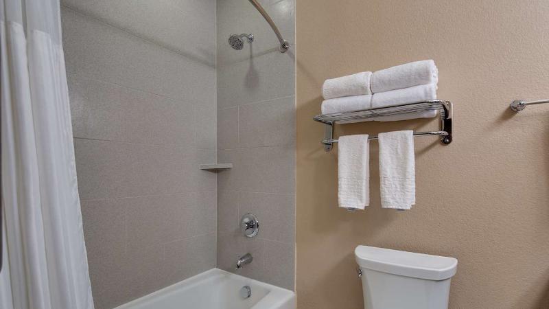 Best Western Plus Lake Jackson Inn & Suites image