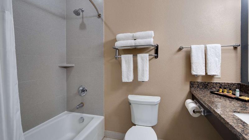 Best Western Plus Lake Jackson Inn & Suites image
