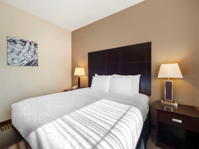 Best Western Plus Peace River Hotel & Suites image