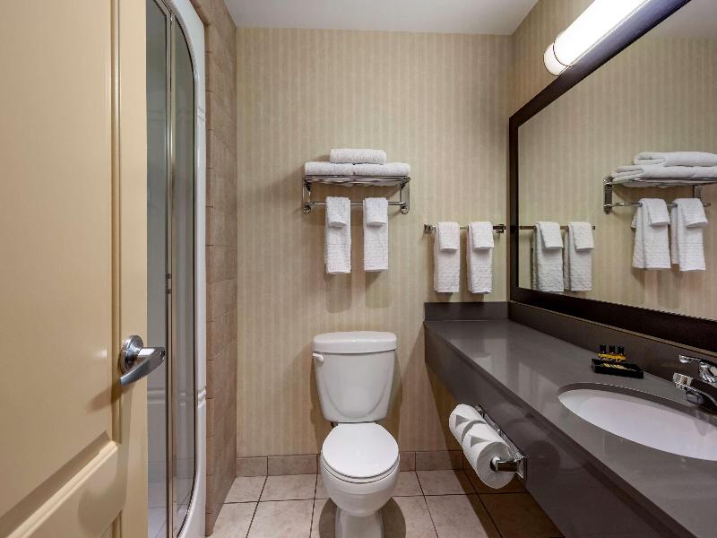Best Western Plus Meridian Hotel image
