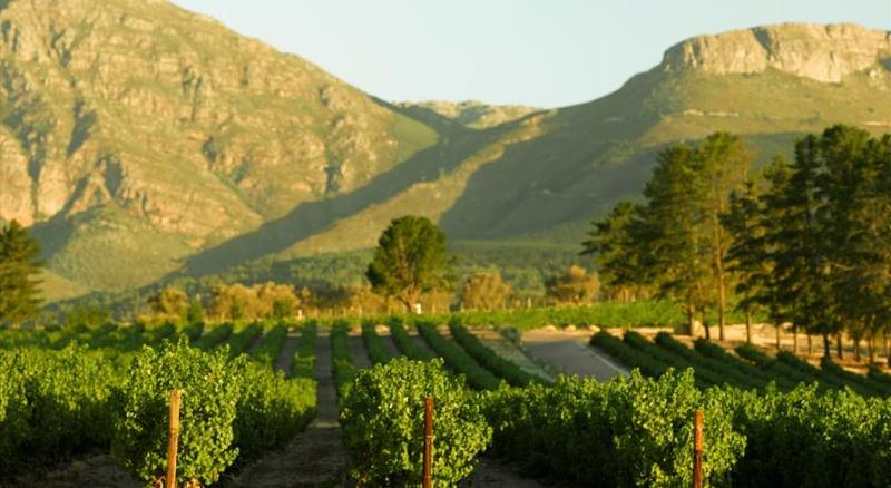 Diemersfontein Country House image