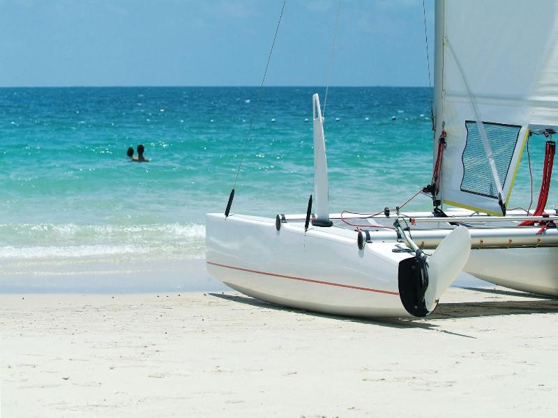 Dolphin Island image