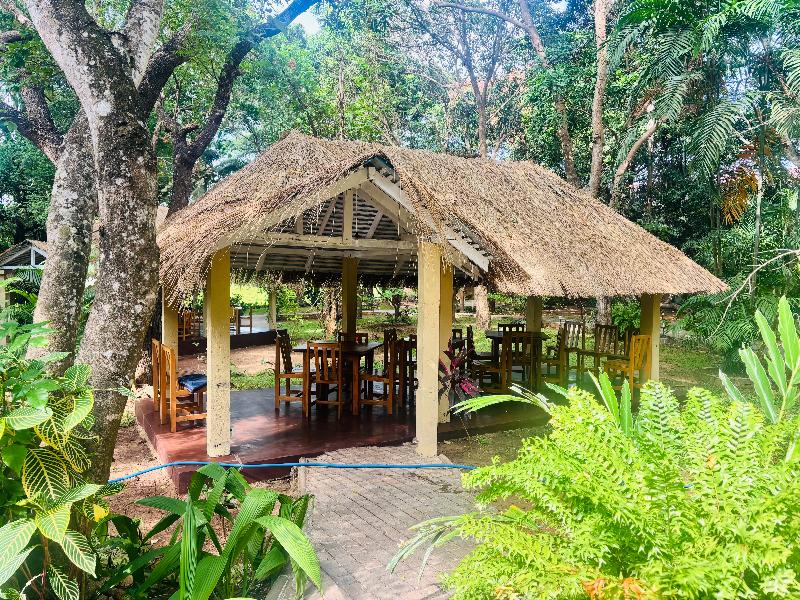 Pelwehera Village resorts image