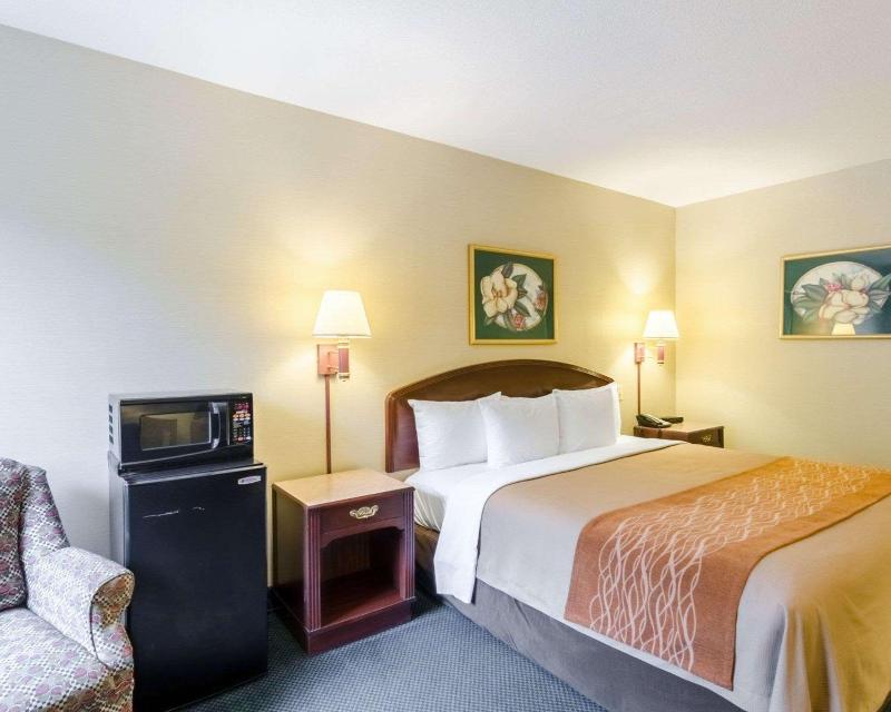 Comfort Inn Grundy image