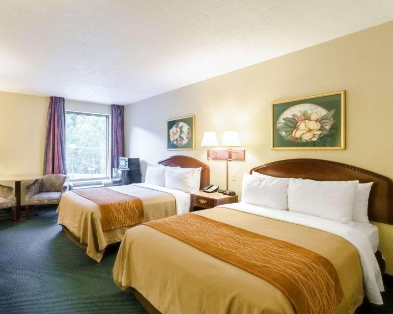 Comfort Inn Grundy image