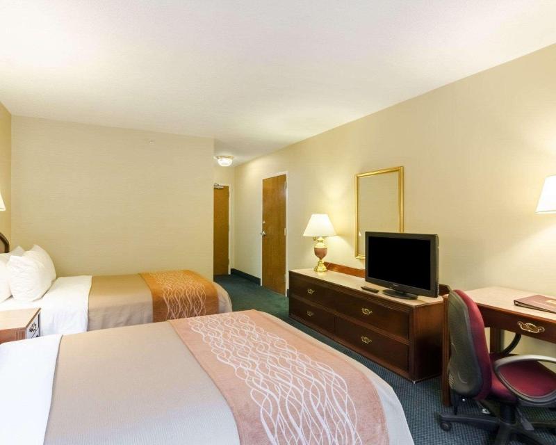 Comfort Inn Grundy image
