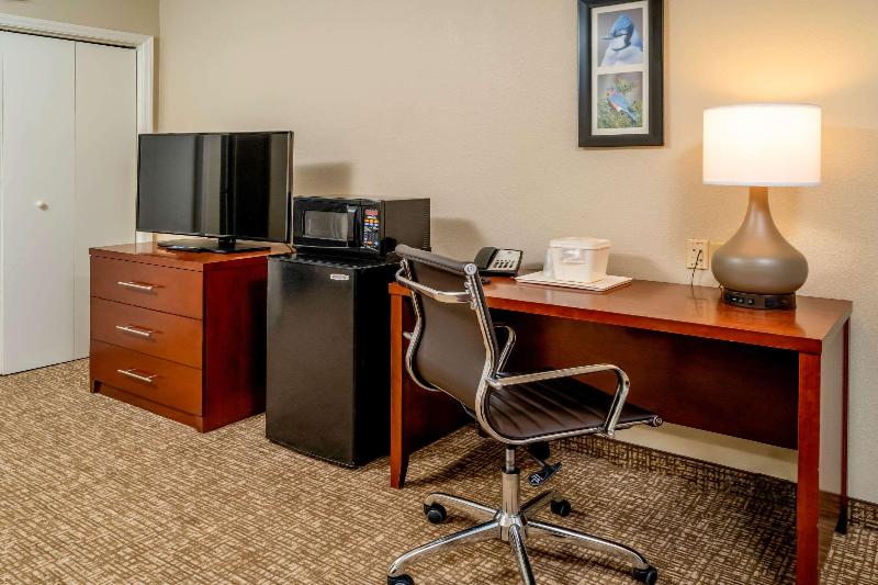 Comfort Inn Grundy image