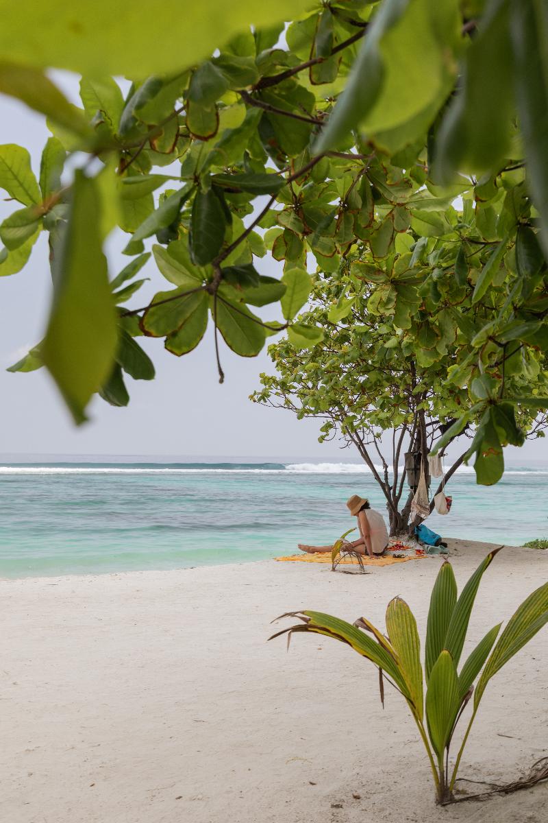 The White Harp Beach Hotel image