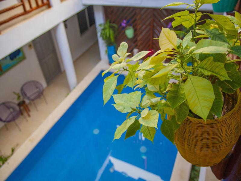 Mestizo Gallery Boutique Hotel image