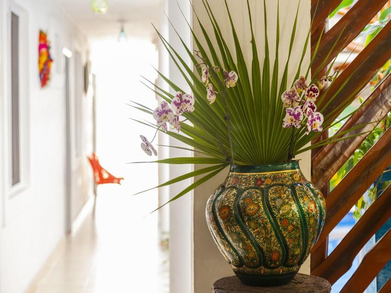 Mestizo Gallery Boutique Hotel image
