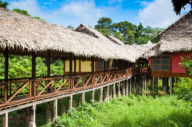 Otros Heliconia Amazon River Lodge