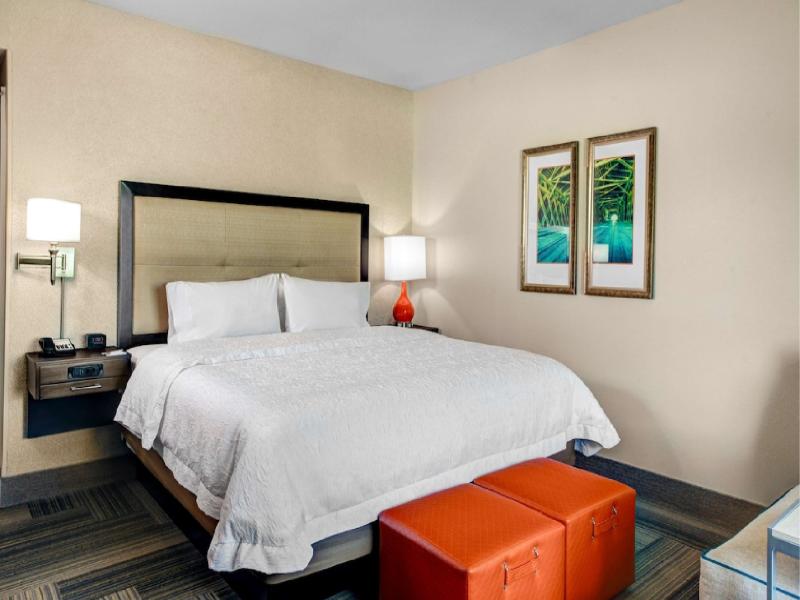 Hampton Inn & Suites by Hilton Atlanta Perimeter D image