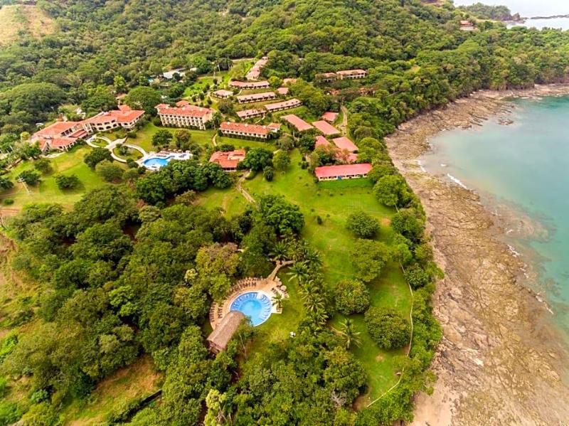 Occidental Allegro Papagayo (correct code 4511) image