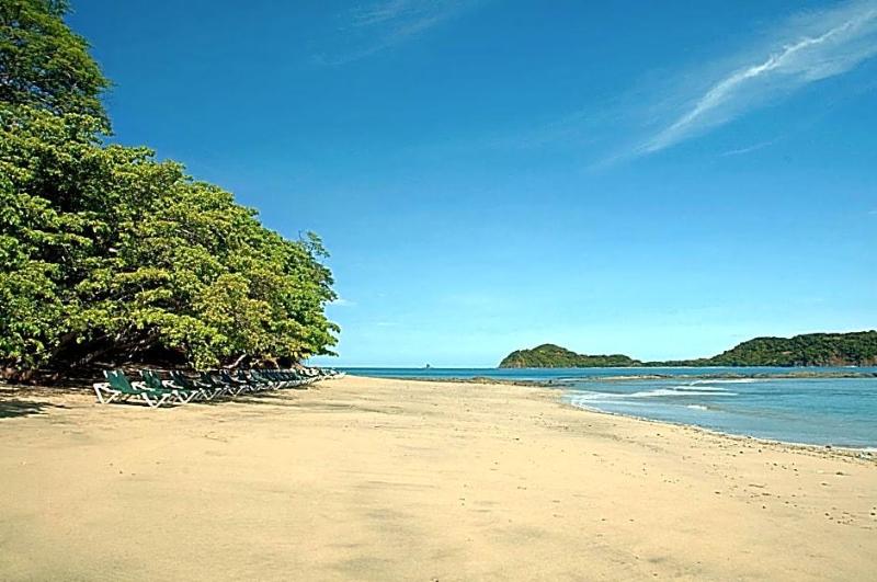 Occidental Allegro Papagayo (correct code 4511) image