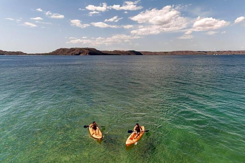 Occidental Allegro Papagayo (correct code 4511) image