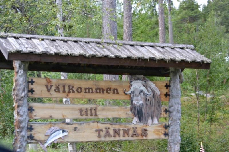 Fjallbyn — photo 5