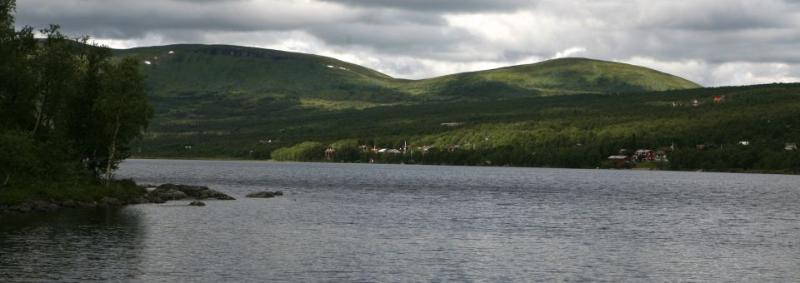 Fjallsatern — main photo