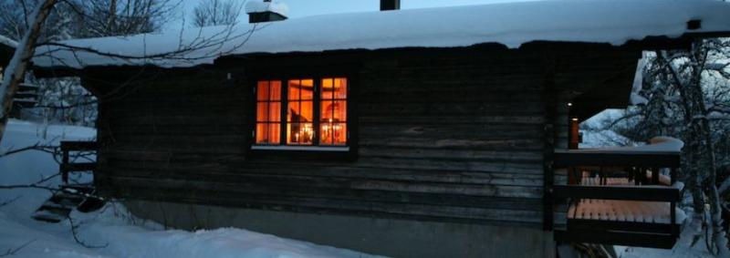 Fjallsatern — photo 5