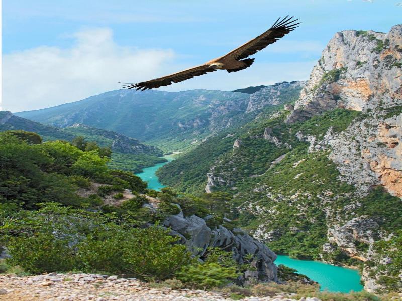 Le Domaine Du Thronnet image