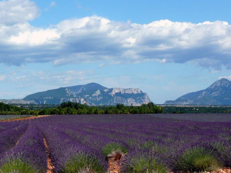 Le Domaine Du Thronnet image