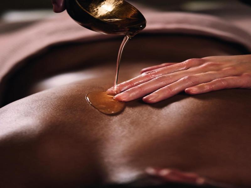 Grand H tel & Spa NUXE Serre Chevalier image