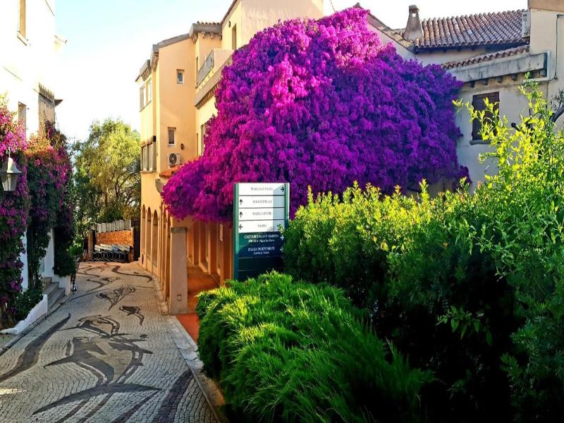 Residenza Bouganville image