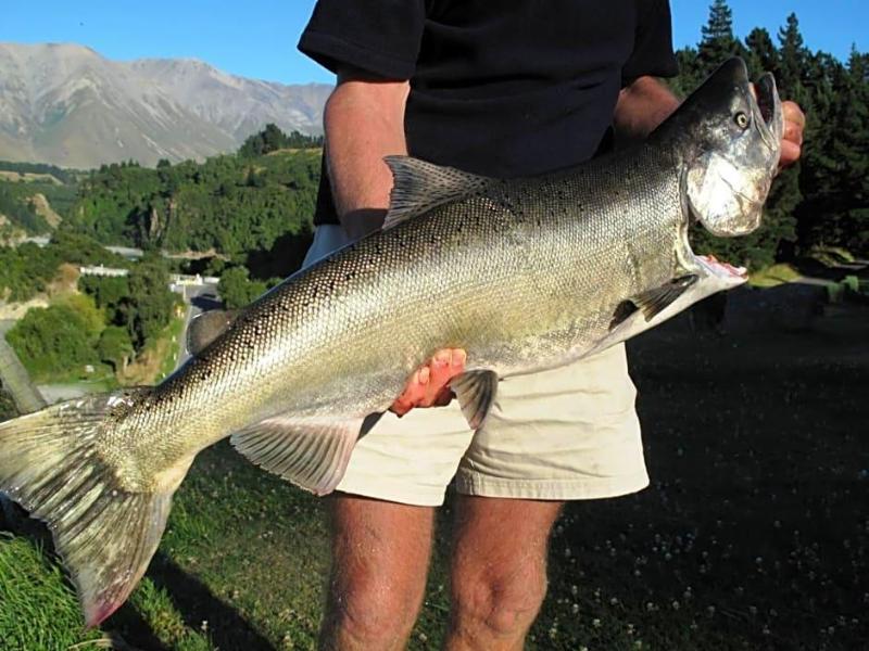Mount Hutt Lodge