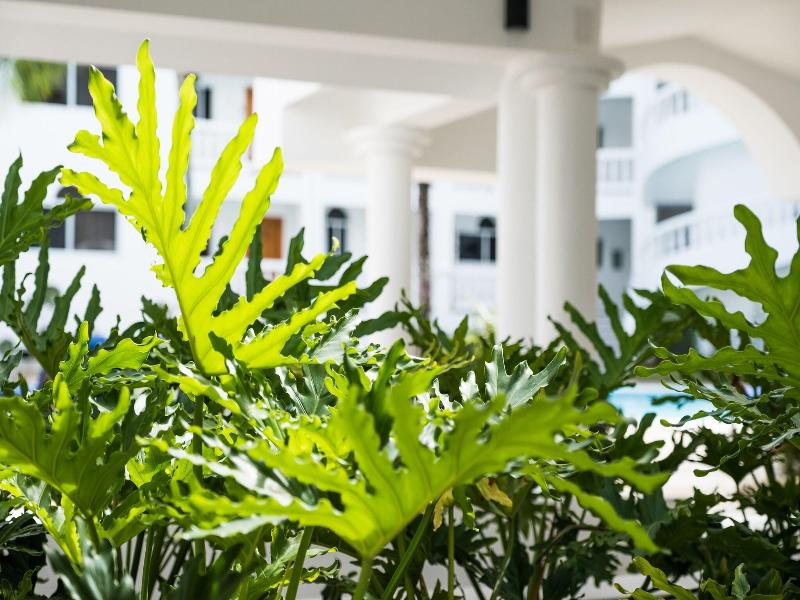 The Coconut Palms Resort image