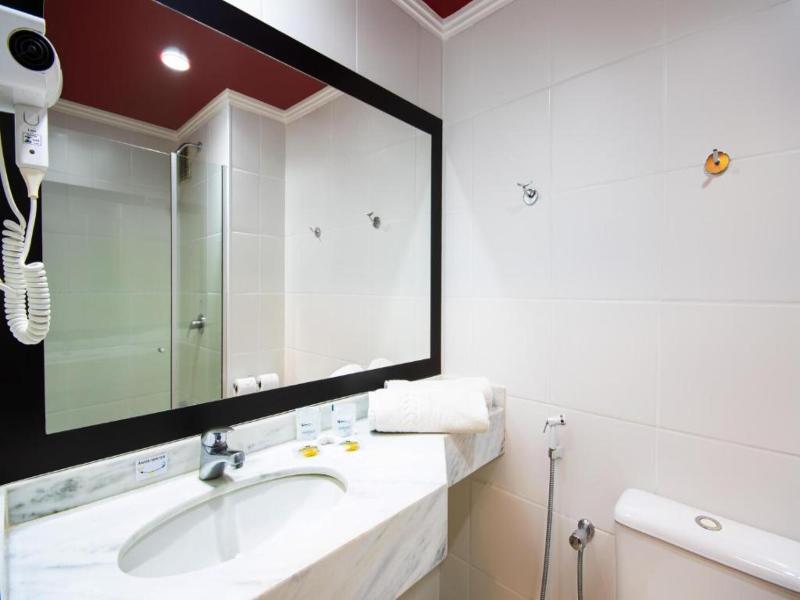 Hotel Dan Inn Sao Carlos image