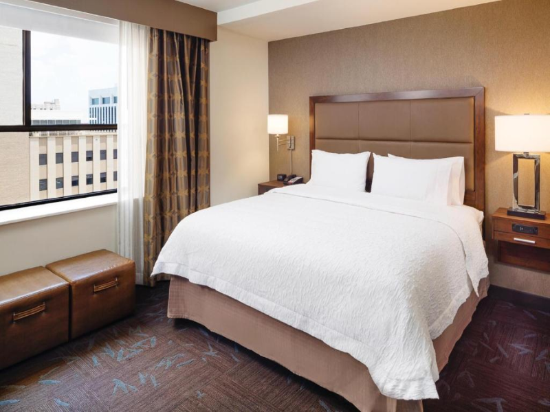 Hampton Inn & Suites Dallas Downtown image
