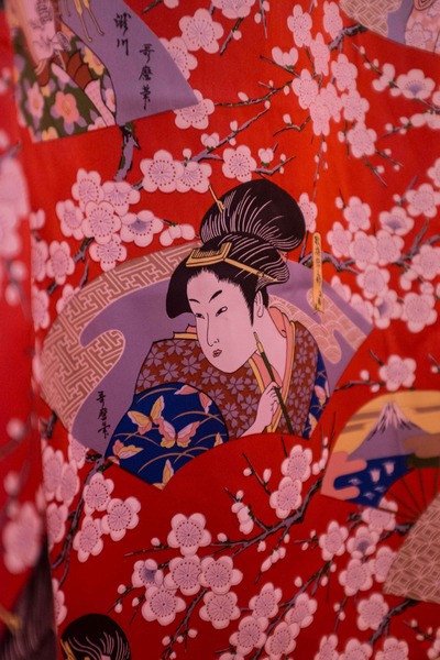 Sakura — photo 5