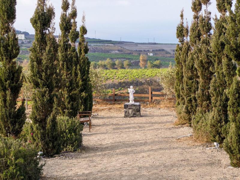 Christou Estate — photo 52